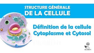 Structure Générale de la Cellule  Définition de la Cellule Cytoplasme Cytosol [upl. by Htnnek]