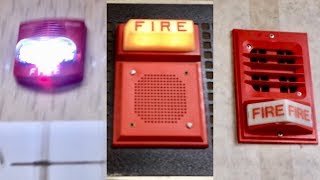 Fire Alarm Test 49 [upl. by Alimat618]